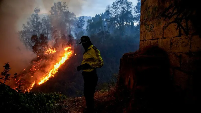 Ecuador reforestará 2.000 hectáreas dañadas por los incendios de los últimos meses