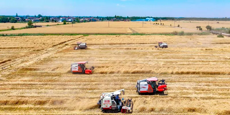China lanza plan histórico para transformar su agricultura hasta 2030