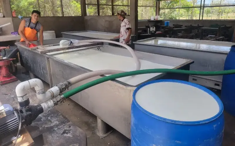 Acopio de Leche Mayo 2026