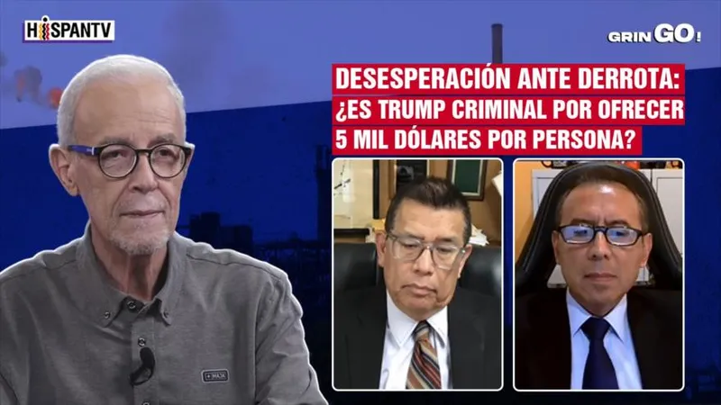 Desesperación ante derrota: ¿Es Trump criminal por ofrecer 5 mil dólares por persona? | GrinGo!