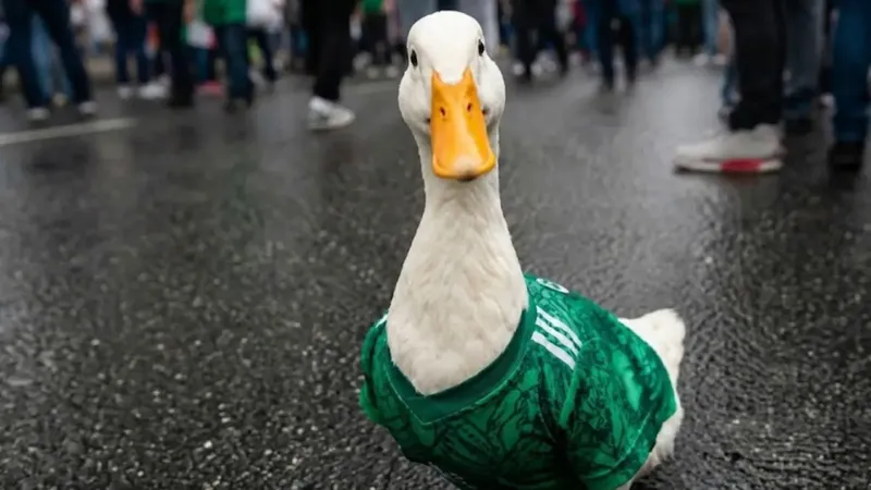 ¿El pato Merlín se metió en problemas con la FIFA por andarse paseando en el Fan Fest?