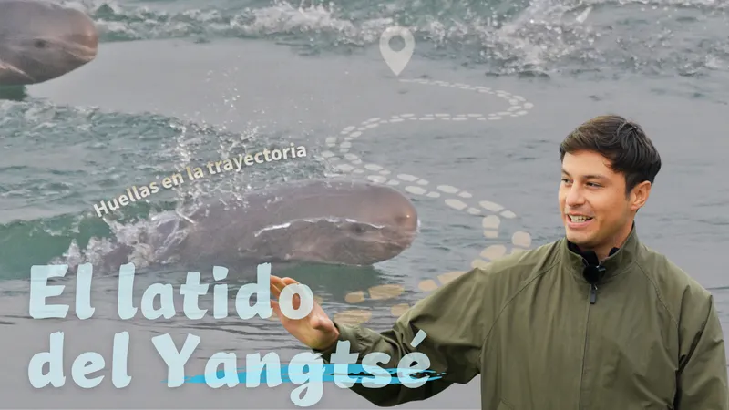 Huellas en la Trayectoria: El latido del Yangtsé