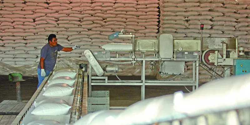 Necesidades de azúcar de EU garantizan a México un cupo de 500,000 toneladas