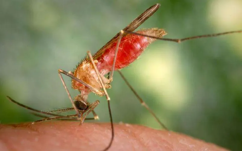 Epidemiología al sábado 13 de junio 2026