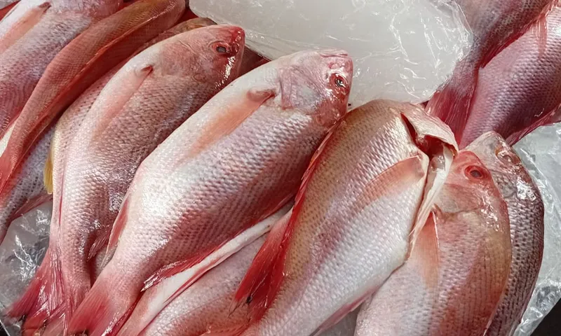 Pargo desde C$120 y mariscos mantienen precios este fin de semana
