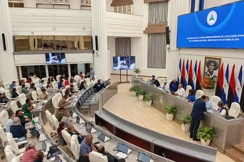 Consulta de reforma constitucional suma 300 mil aportes