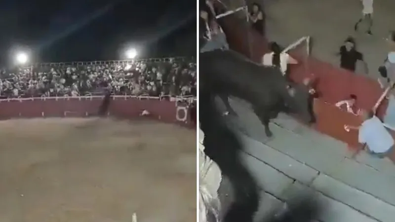 Toro salta a las gradas y desata el pánico