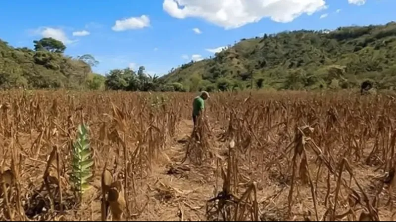 Honduras activa alerta roja por sequía y déficit de lluvias en el Corredor Seco