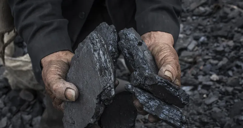Glencore, Peabody y Heeney evalúan acuerdos para producir carbón en Venezuela