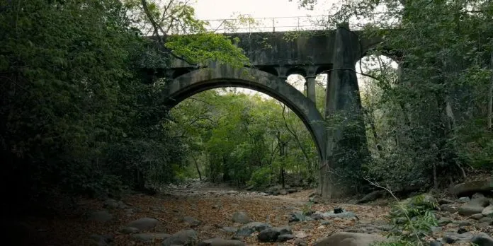 Misterio y majestuosidad: El puente ferroviario oculto en León (VIDEO)