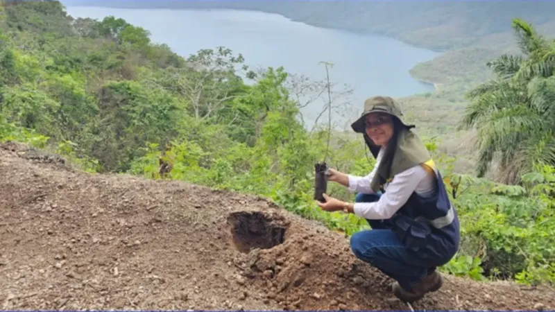 Jornada de Reforestación 2026 llegará a 13 municipios de Nicaragua para restaurar ecosistemas