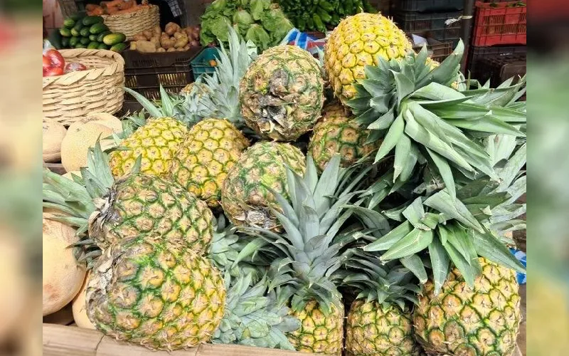 Producción de piña a mayo 2026