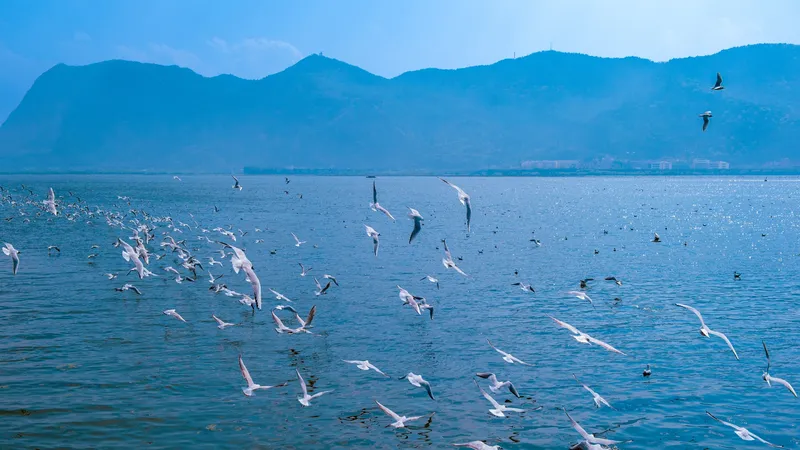 El impulso a la biodiversidad en China