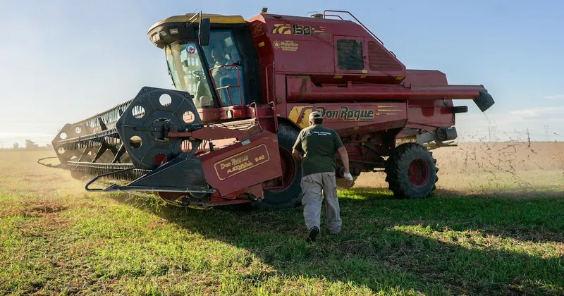Guía para inversionistas: sectores que pueden ganar y perder ante un fuerte fenómeno de El Niño