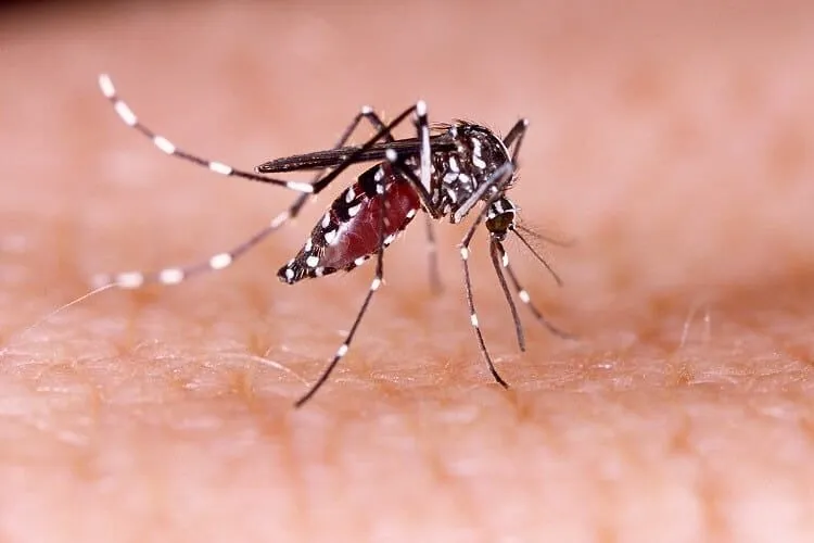 Minsa reporta disminución de casos de neumonía y malaria en la última semana