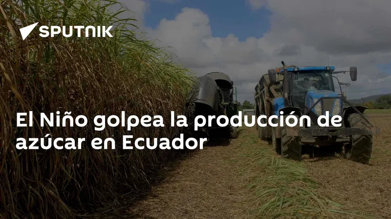 El Niño golpea la producción de azúcar en Ecuador