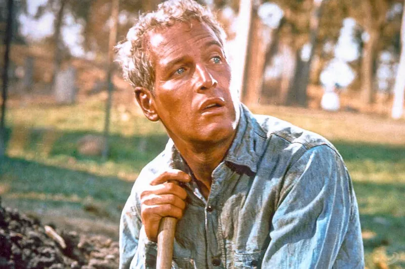 En 1997 Paul Newman donó 3 hectáreas de su finca a Connecticut; 14 años después forman parte de una reserva forestal