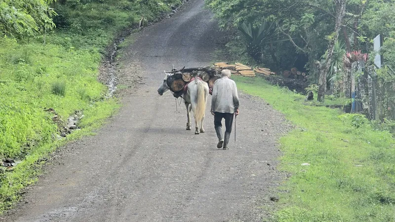 Rehabilitan 11 kilómetros de caminos productivos en La Libertad