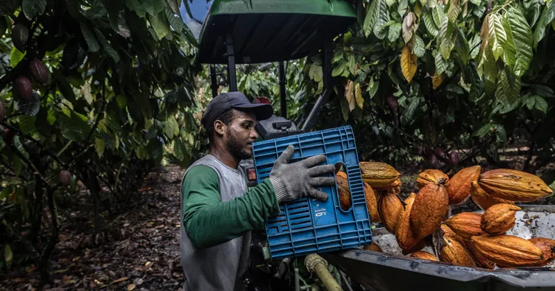 ¿En qué materias primas invertir ante el regreso de El Niño? UBS revela sus principales apuestas