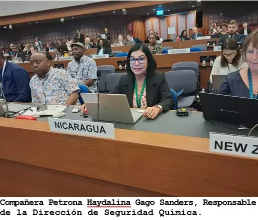 Nicaragua participa en Bangkok en reunión sobre capa de ozono