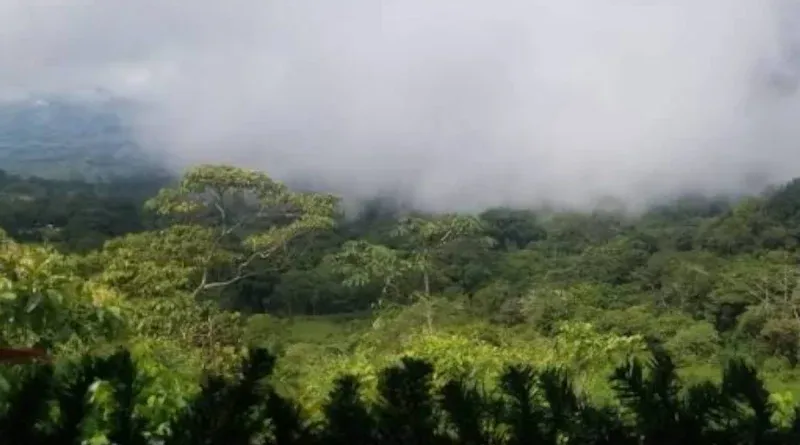 Pronostican lluvias dispersas y fuertes vientos en Nicaragua