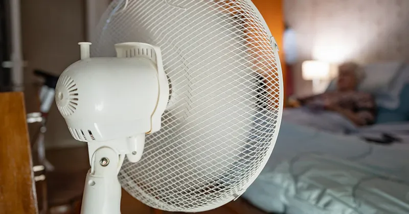 Ola de calor en Europa deja unas 1.000 muertes más de lo habitual en Francia