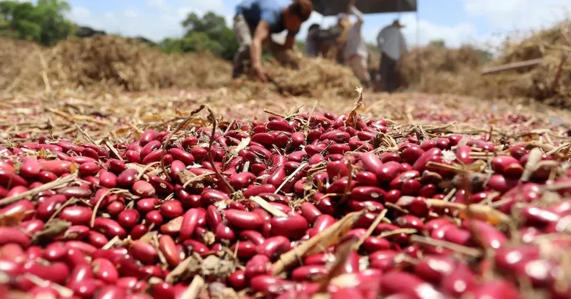 Honduras eleva a 103 los municipios en alerta roja por sequía asociada a El Niño
