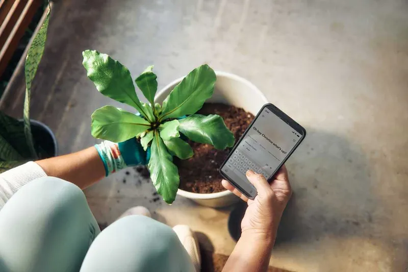 LinkedIn lanza Hiring Assistant en español, su IA revolucionaria para selección de talento