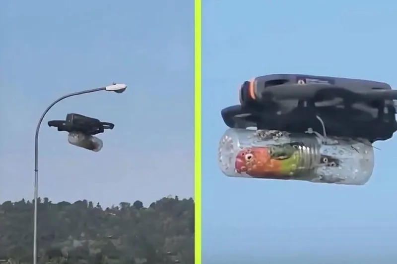 El dueño de un pájaro construyó un pequeño dron con cabina para que su ave discapacitada pudiera volver a volar