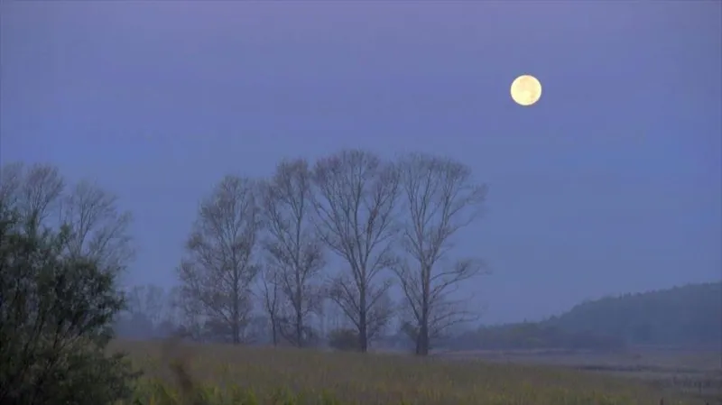 Luna llena ilumina el cielo de Heilongjiang, China