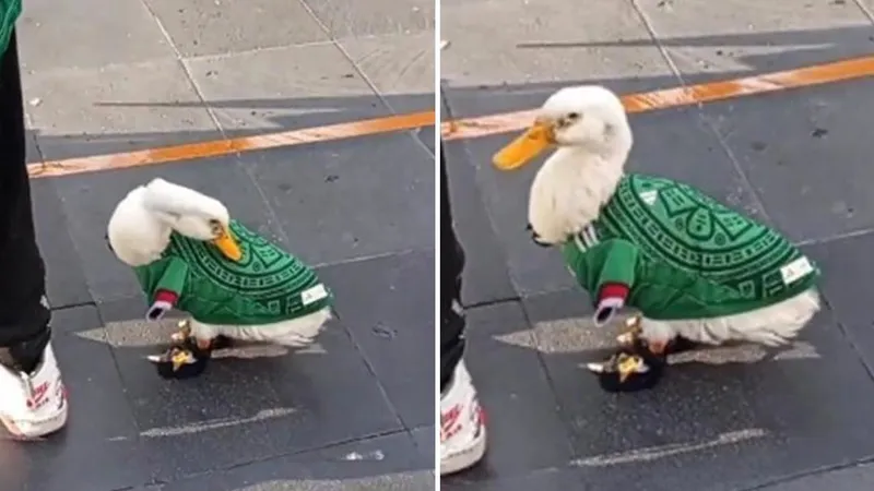 La historia detrás del pato que se convirtió en sensación del Mundial 2026