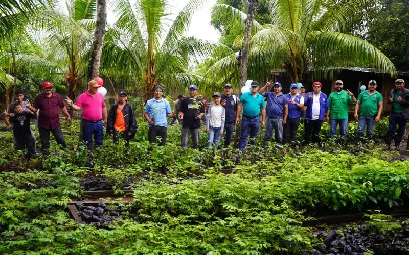 Más plantas, Jinotega