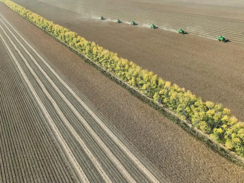 China emite plan quinquenal para modernización agrícola y rural