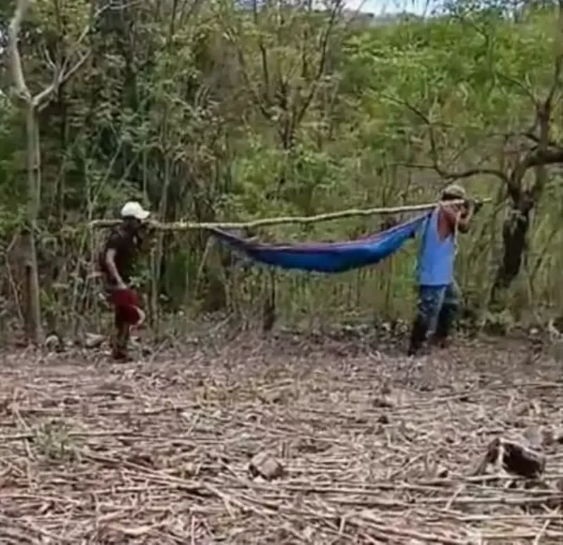 Tomador es hallado sin vida en las faldas de un cerro en San Lucas