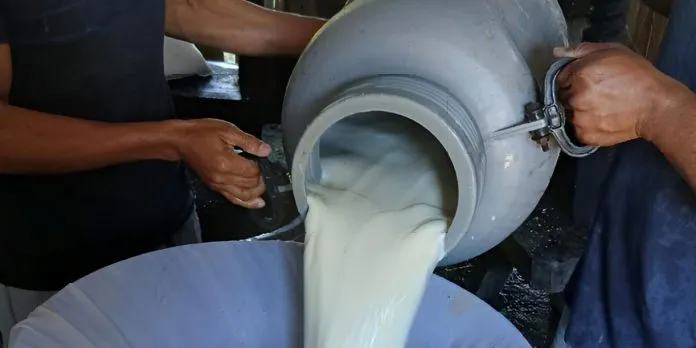 MAG reporta crecimiento del acopio de leche al cierre de junio