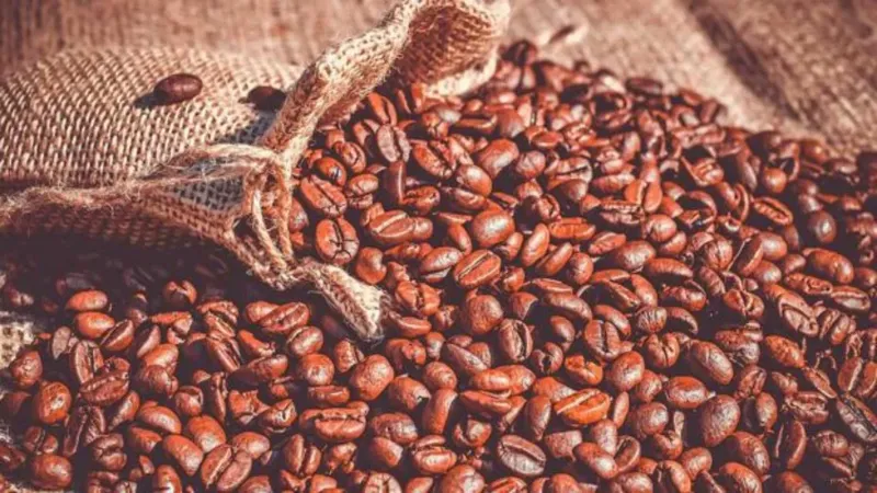 Producción de café de Colombia cae 12% en agosto