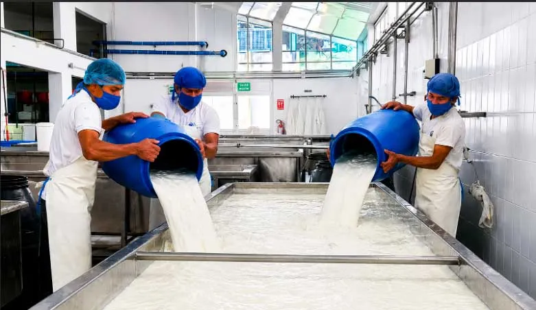 Nicaragua produce millones de galones de leche