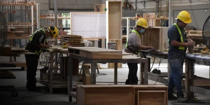 MARENA autoriza 87 constancias de exportación de productos forestales en 2026