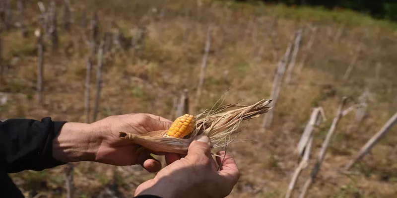 Brasil fortalece plan de monitoreo ante fenómeno El Niño