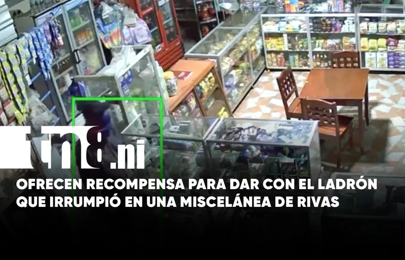 Entró de madrugada y arrasó con todo: cámaras captan robo en Rivas