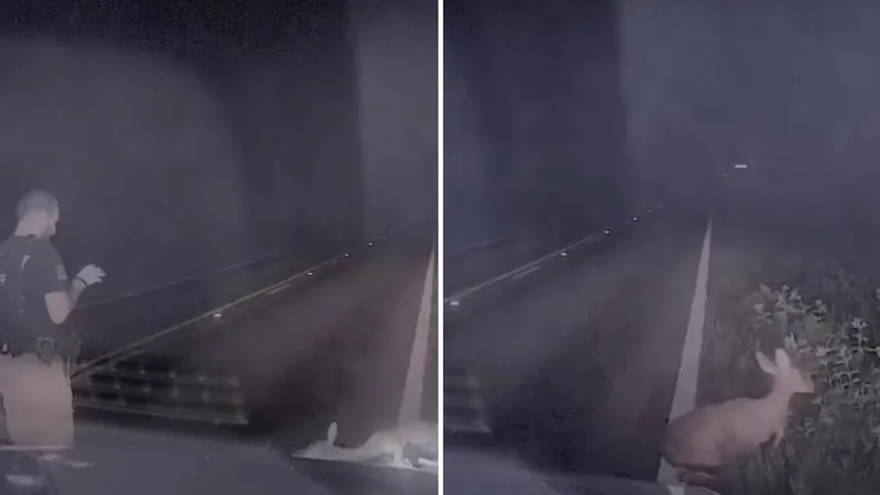 VIDEO: Un policía se acerca a un ciervo 'muerto' y se lleva una aterradora sorpresa