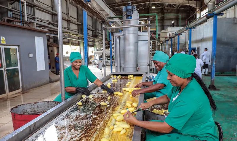 ¿Qué sucederá con las empresas estatales cubanas? (+Video)