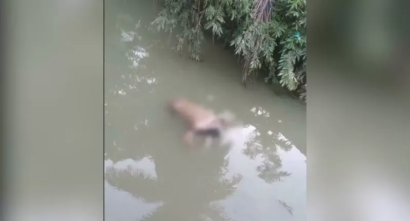 Cuidador de tumbas es encontrado sin vida en riachuelo de Bilwi