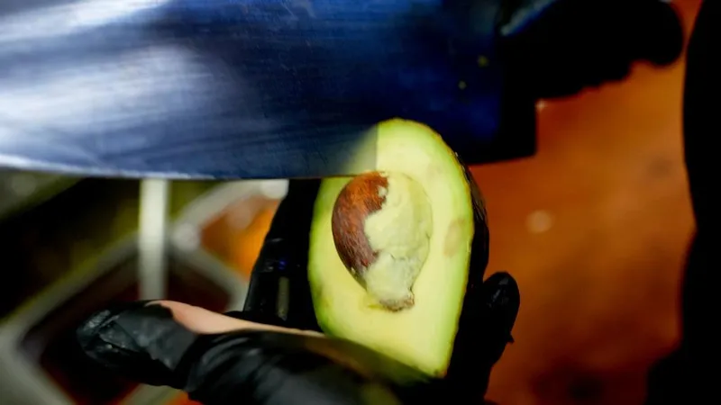 EEUU reanudará parcialmente envíos de aguacate desde México