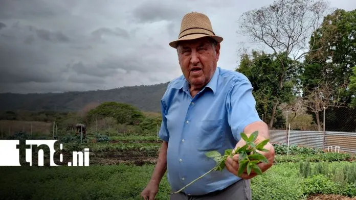 Agapito impulsa huerto orgánico en Nicaragua