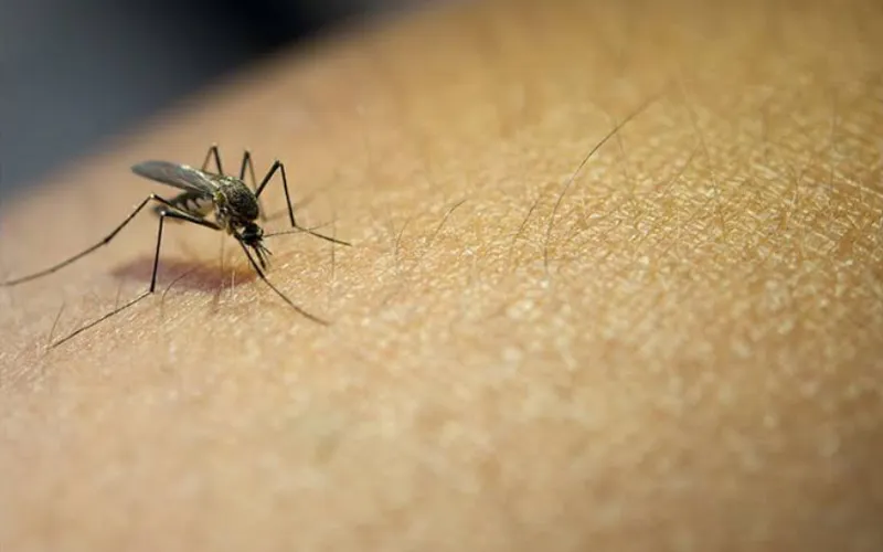 Nicaragua fortalece la lucha contra la malaria con trabajo comunitario y cooperación binacional
