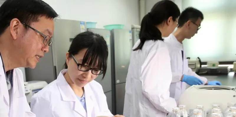 Científicos revelan avance experimental que podría cambiar la lucha contra un cáncer difícil de...
