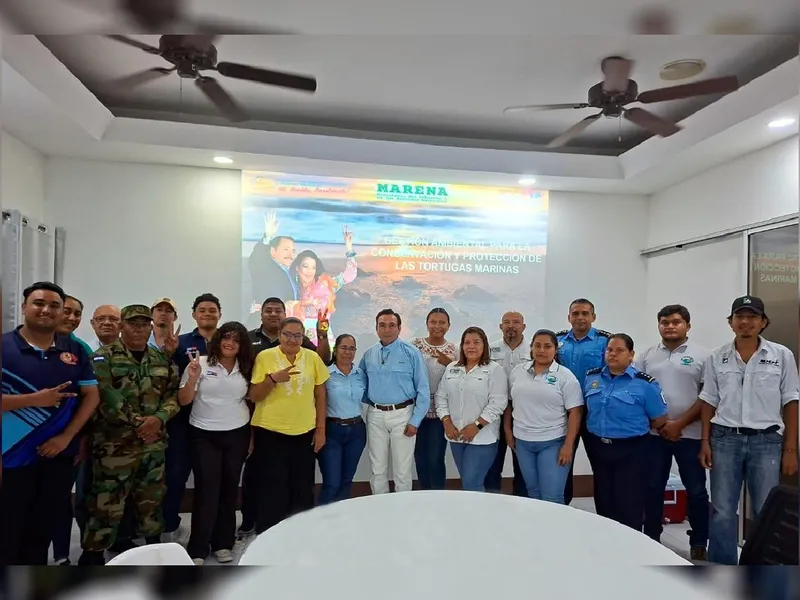 Protegiendo nuestras tortugas marinas