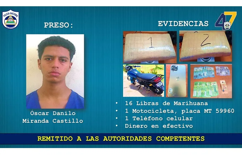 Decomisan 24 libras de marihuana durante operativos en Estelí