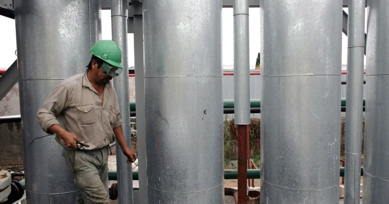 Ganadores y perdedores de la era Milei: así les fue a los distintos sectores de la industria